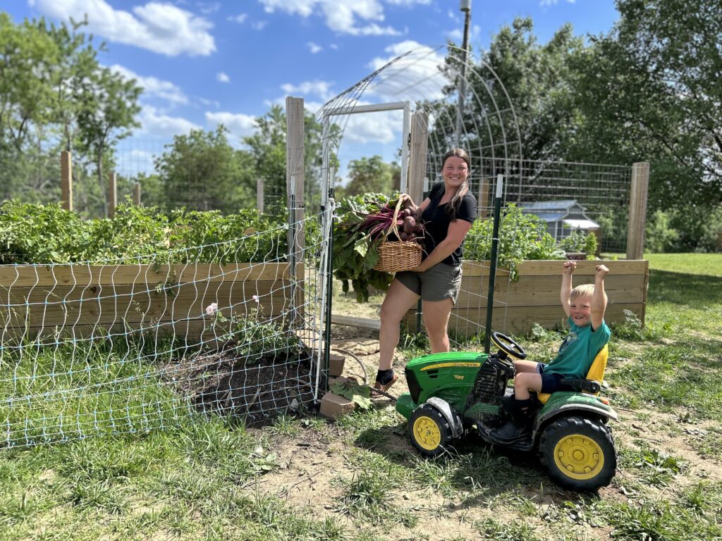 harvesting fall garden crops